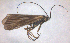  ( - BC ZSM AQU 00083)  @13 [ ] CreativeCommons - Attribution Non-Commercial No Derivatives (2010) Unspecified SNSB, Zoologische Staatssammlung Muenchen