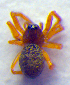  ( - BC ZSM ARA 00164)  @12 [ ] CreativeCommons - Attribution Non-Commercial Share-Alike (2010) Zoologische Staatssammlung Muenchen SNSB, Zoologische Staatssammlung Muenchen