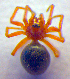  ( - BC ZSM ARA 00327)  @12 [ ] CreativeCommons - Attribution Non-Commercial Share-Alike (2010) Zoologische Staatssammlung Muenchen SNSB, Zoologische Staatssammlung Muenchen