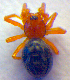  ( - BC ZSM ARA 00330)  @12 [ ] CreativeCommons - Attribution Non-Commercial Share-Alike (2010) Zoologische Staatssammlung Muenchen SNSB, Zoologische Staatssammlung Muenchen