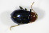 ( - BFB_Col_FK_9125)  @11 [ ] Unspecified (default): All Rights Reserved  Unspecified Unspecified