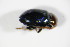  ( - BFB_Col_FK_9126)  @11 [ ] Unspecified (default): All Rights Reserved  Unspecified Unspecified