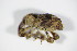 ( - BFB_Col_FK_9164)  @11 [ ] Unspecified (default): All Rights Reserved  Unspecified Unspecified