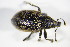 ( - BFB_Col_FK_9179)  @11 [ ] Unspecified (default): All Rights Reserved  Unspecified Unspecified