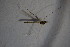  ( - CCDB21606-H04)  @12 [ ] CreativeCommons - Attribution Non-Commercial Share-Alike (2015) Unspecified SNSB, Zoologische Staatssammlung Muenchen