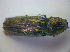  ( - BFB_Col_FK_3908)  @12 [ ] CreativeCommons - Attribution Non-Commercial Share-Alike (2012) Zoologische Staatssammlung Muenchen SNSB, Zoologische Staatssammlung Muenchen