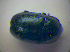 ( - BFB_Col_FK_3944)  @13 [ ] CreativeCommons - Attribution Non-Commercial Share-Alike (2012) Zoologische Staatssammlung Muenchen SNSB, Zoologische Staatssammlung Muenchen