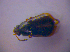  ( - BFB_Col_FK_4877)  @12 [ ] CreativeCommons - Attribution Non-Commercial Share-Alike (2012) Zoologische Staatssammlung Muenchen SNSB, Zoologische Staatssammlung Muenchen