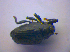  ( - BFB_Col_FK_4228)  @12 [ ] CreativeCommons - Attribution Non-Commercial Share-Alike (2010) Zoologische Staatssammlung Muenchen SNSB, Zoologische Staatssammlung Muenchen
