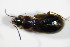  ( - BFB_Col_FK_7440)  @12 [ ] CreativeCommons - Attribution Non-Commercial Share-Alike (2015) Unspecified SNSB, Zoologische Staatssammlung Muenchen