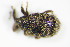  ( - BFB_Col_FK_9612)  @12 [ ] CreativeCommons - Attribution Non-Commercial Share-Alike (2015) Unspecified SNSB, Zoologische Staatssammlung Muenchen