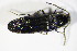  ( - BFB_Col_FK_10749)  @13 [ ] CreativeCommons - Attribution Non-Commercial Share-Alike (2015) Unspecified SNSB, Zoologische Staatssammlung Muenchen