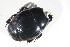  ( - BFB_Col_FK_12405)  @12 [ ] CreativeCommons - Attribution Non-Commercial Share-Alike (2015) Unspecified SNSB, Zoologische Staatssammlung Muenchen