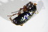  ( - BFB_Col_FK_11655)  @13 [ ] CreativeCommons - Attribution Non-Commercial Share-Alike (2015) Unspecified SNSB, Zoologische Staatssammlung Muenchen
