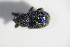  ( - BFB_Col_FK_12079)  @11 [ ] CreativeCommons - Attribution Non-Commercial Share-Alike (2015) Unspecified SNSB, Zoologische Staatssammlung Muenchen