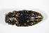  ( - BFB_Col_FK_12267)  @11 [ ] CreativeCommons - Attribution Non-Commercial Share-Alike (2015) Unspecified SNSB, Zoologische Staatssammlung Muenchen