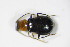  ( - BFB_Col_FK_10395)  @13 [ ] CreativeCommons - Attribution Non-Commercial Share-Alike (2015) Unspecified SNSB, Zoologische Staatssammlung Muenchen