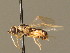  ( - BC_ZSM_DIP_00389)  @11 [ ] CreativeCommons - Attribution Non-Commercial Share-Alike (2010) Unspecified SNSB, Zoologische Staatssammlung Muenchen