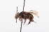  ( - QCAZI_211860)  @13 [ ] Rita Hidalgo (2016) Rita Hidalgo PUCE