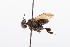  ( - QCAZI_211861)  @13 [ ] Rita Hidalgo (2016) Rita Hidalgo PUCE
