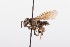  ( - QCAZI_211862)  @12 [ ] Rita Hidalgo (2016) Rita Hidalgo PUCE