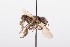  ( - QCAZI_211863)  @12 [ ] Rita Hidalgo (2016) Rita Hidalgo PUCE