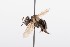  ( - QCAZI_211864)  @13 [ ] Rita Hidalgo (2016) Rita Hidalgo PUCE