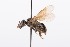  ( - QCAZI_211870)  @12 [ ] Rita Hidalgo (2016) Rita Hidalgo PUCE