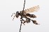  ( - QCAZI_211871)  @12 [ ] Rita Hidalgo (2016) Rita Hidalgo PUCE