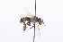  ( - QCAZI_211873)  @12 [ ] Rita Hidalgo (2016) Rita Hidalgo PUCE