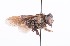  ( - QCAZI_211882)  @12 [ ] Rita Hidalgo (2016) Rita Hidalgo PUCE