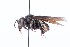  ( - QCAZI_211883)  @13 [ ] Rita Hidalgo (2016) Rita Hidalgo PUCE