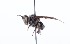  ( - QCAZI_211885)  @12 [ ] Rita Hidalgo (2016) Rita Hidalgo PUCE