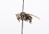  ( - QCAZI_211899)  @11 [ ] Rita Hidalgo (2016) Rita Hidalgo PUCE