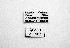  ( - QCAZI_211902)  @11 [ ] Rita Hidalgo (2016) Rita Hidalgo PUCE
