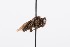  ( - QCAZI_212351)  @11 [ ] Rita Hidalgo (2016) Rita Hidalgo PUCE