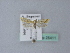  ( - BC ZSM Lep 25411)  @13 [ ] CreativeCommons - Attribution Non-Commercial Share-Alike (2010) Unspecified SNSB, Zoologische Staatssammlung Muenchen