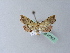  ( - BC ZSM Lep 25557)  @13 [ ] CreativeCommons - Attribution Non-Commercial Share-Alike (2010) Unspecified SNSB, Zoologische Staatssammlung Muenchen