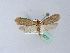  ( - BC ZSM Lep 25577)  @14 [ ] CreativeCommons - Attribution Non-Commercial Share-Alike (2010) Unspecified SNSB, Zoologische Staatssammlung Muenchen