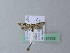 ( - BC ZSM Lep 27232)  @14 [ ] CreativeCommons - Attribution Non-Commercial Share-Alike (2010) Unspecified SNSB, Zoologische Staatssammlung Muenchen