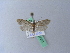 ( - BC ZSM Lep 27351)  @12 [ ] CreativeCommons - Attribution Non-Commercial Share-Alike (2010) Unspecified SNSB, Zoologische Staatssammlung Muenchen