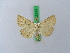  ( - BC ZSM Lep 28244)  @13 [ ] CreativeCommons - Attribution Non-Commercial Share-Alike (2010) Unspecified SNSB, Zoologische Staatssammlung Muenchen