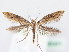  ( - BC ZSM Lep 61471)  @12 [ ] CreativeCommons - Attribution Non-Commercial Share-Alike (2010) Zoologische Staatssammlung Muenchen SNSB, Zoologische Staatssammlung Muenchen