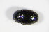 ( - BFB_Col_FK_9213)  @11 [ ] Unspecified (default): All Rights Reserved  Unspecified Unspecified
