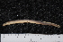  ( - BayFi 02297)  @12 [ ] CreativeCommons - Attribution Non-Commercial Share-Alike (2015) Unspecified SNSB, Zoologische Staatssammlung Muenchen