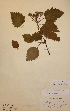  ( - H-KYM002939)  @11 [ ] Unspecified (default): All Rights Reserved  Unspecified Unspecified