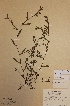  ( - H-KYM007226)  @11 [ ] Unspecified (default): All Rights Reserved  Unspecified Unspecified