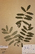  ( - H-KYM009228)  @11 [ ] Unspecified (default): All Rights Reserved  Unspecified Unspecified