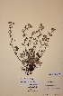  ( - H004143)  @11 [ ] Unspecified (default): All Rights Reserved  Unspecified Unspecified