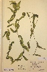  ( - H023327)  @11 [ ] Unspecified (default): All Rights Reserved  Unspecified Unspecified